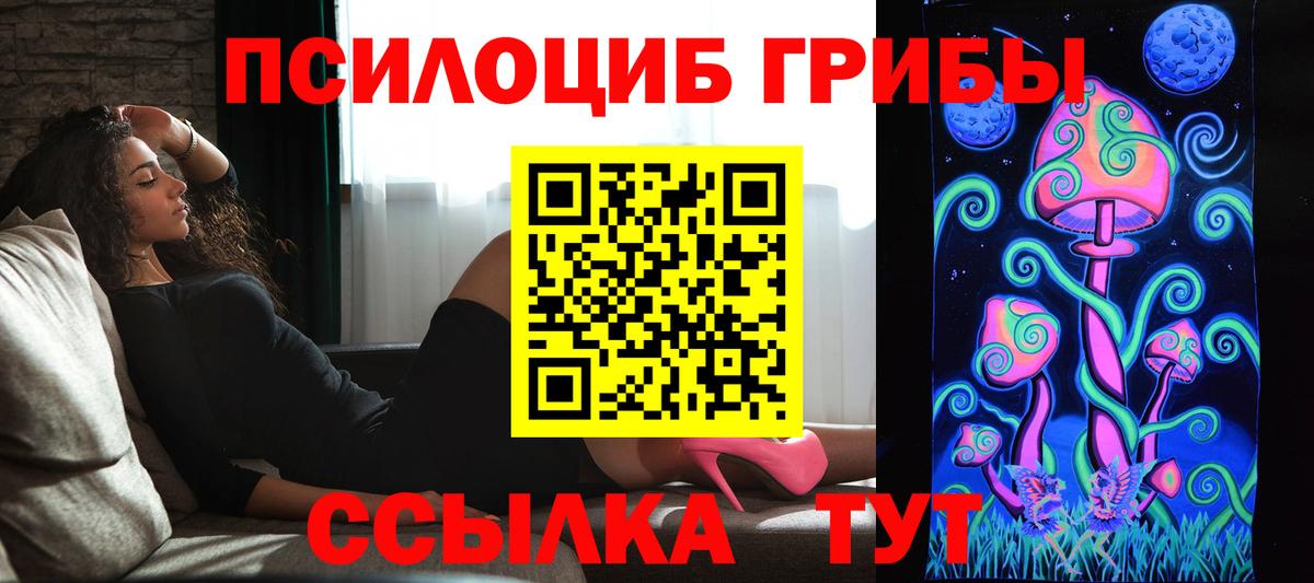 Кисловодск  Галлюциногенные грибы Psilocybine cubensis  Вход с VPN 