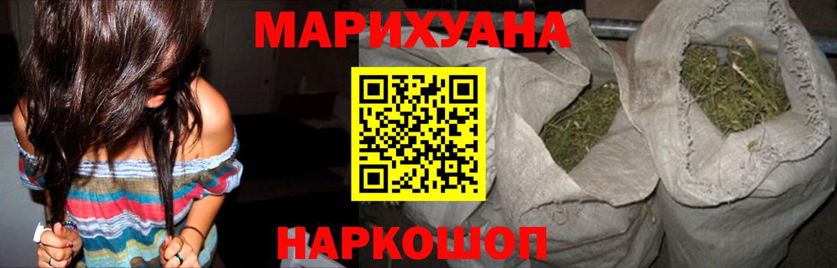 Каннабис план Кисловодск
